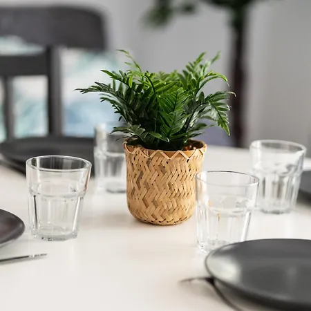Le Cocon Verdoyant Apartment